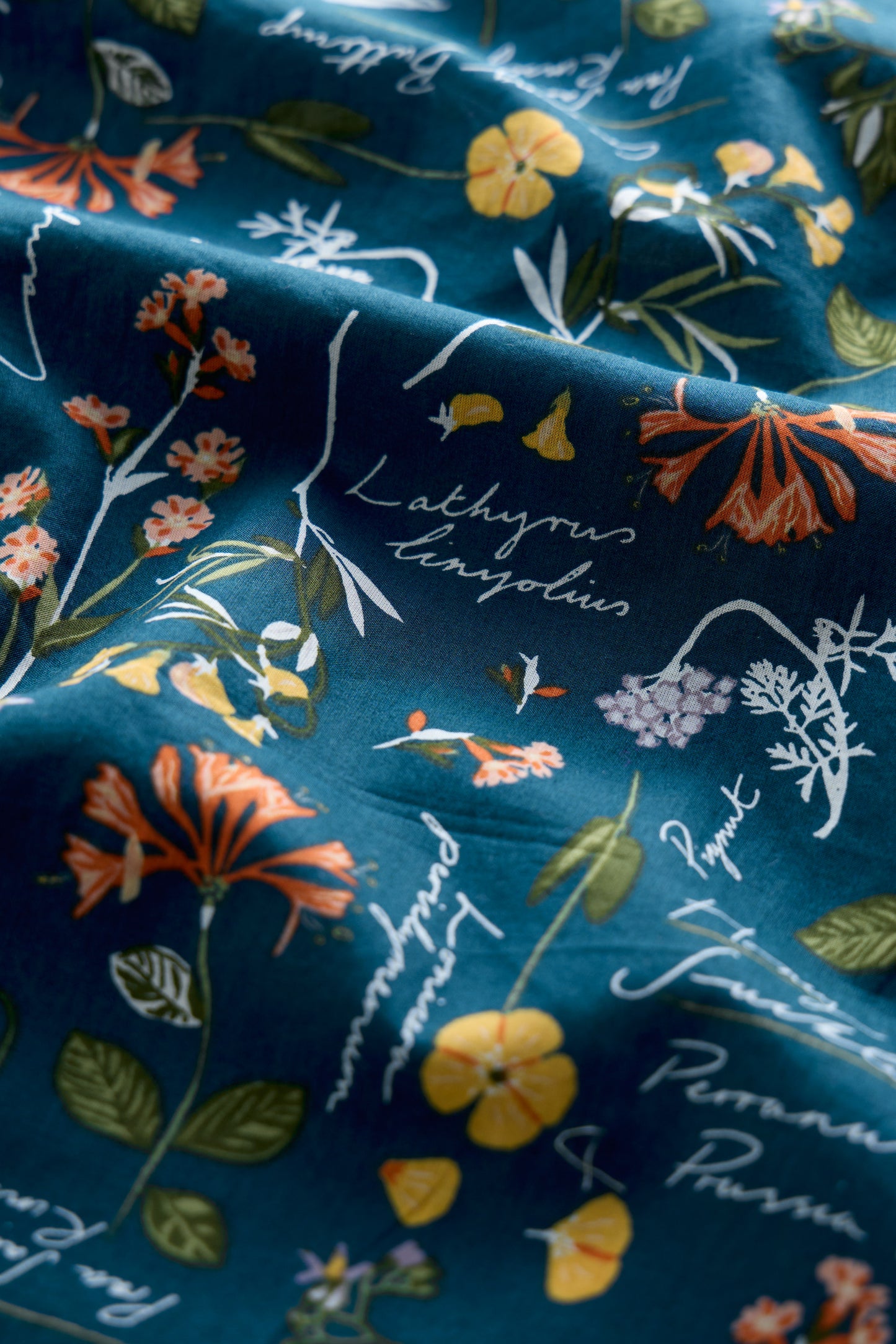 Garden Gate Top in Coastal Collection Light Squid